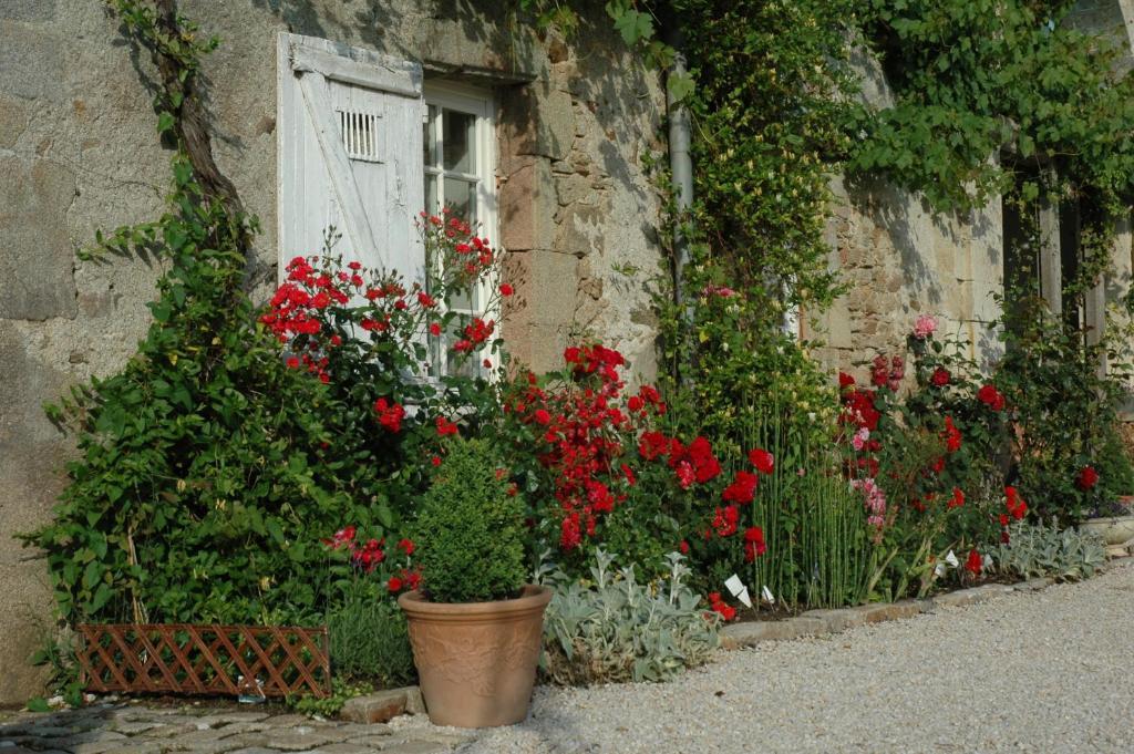 Chateau De L'Oiseliniere Bed and Breakfast Gorges  Exteriör bild