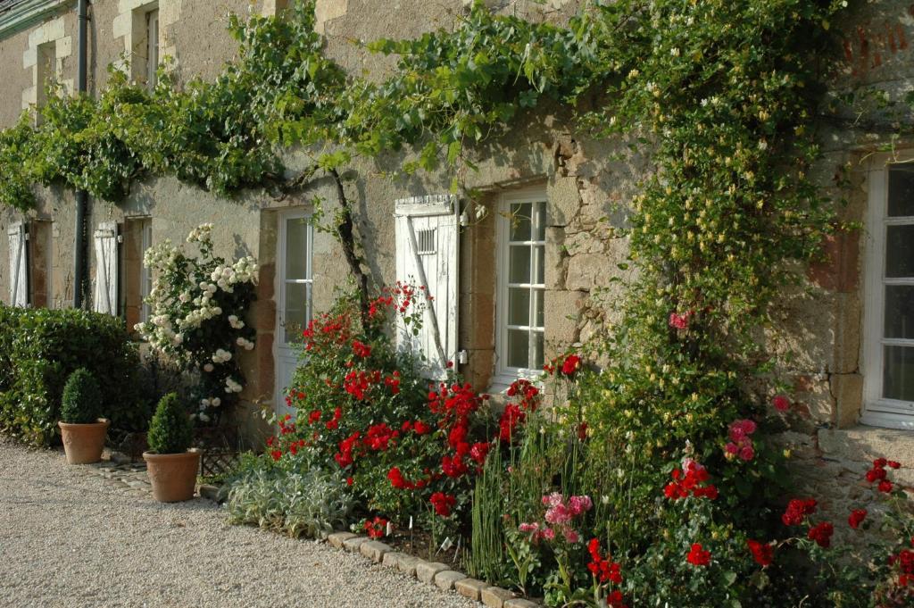 Chateau De L'Oiseliniere Bed and Breakfast Gorges  Exteriör bild
