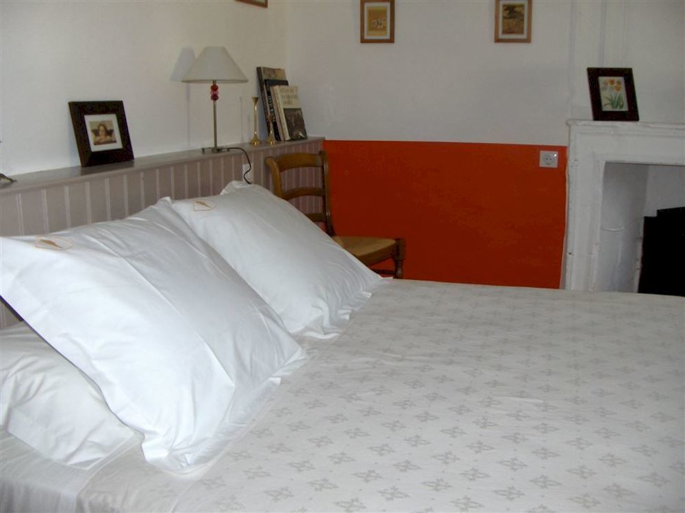 Chateau De L'Oiseliniere Bed and Breakfast Gorges  Exteriör bild