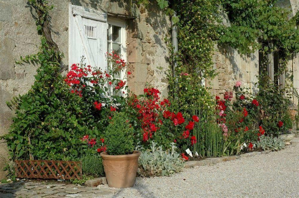 Chateau De L'Oiseliniere Bed and Breakfast Gorges  Exteriör bild