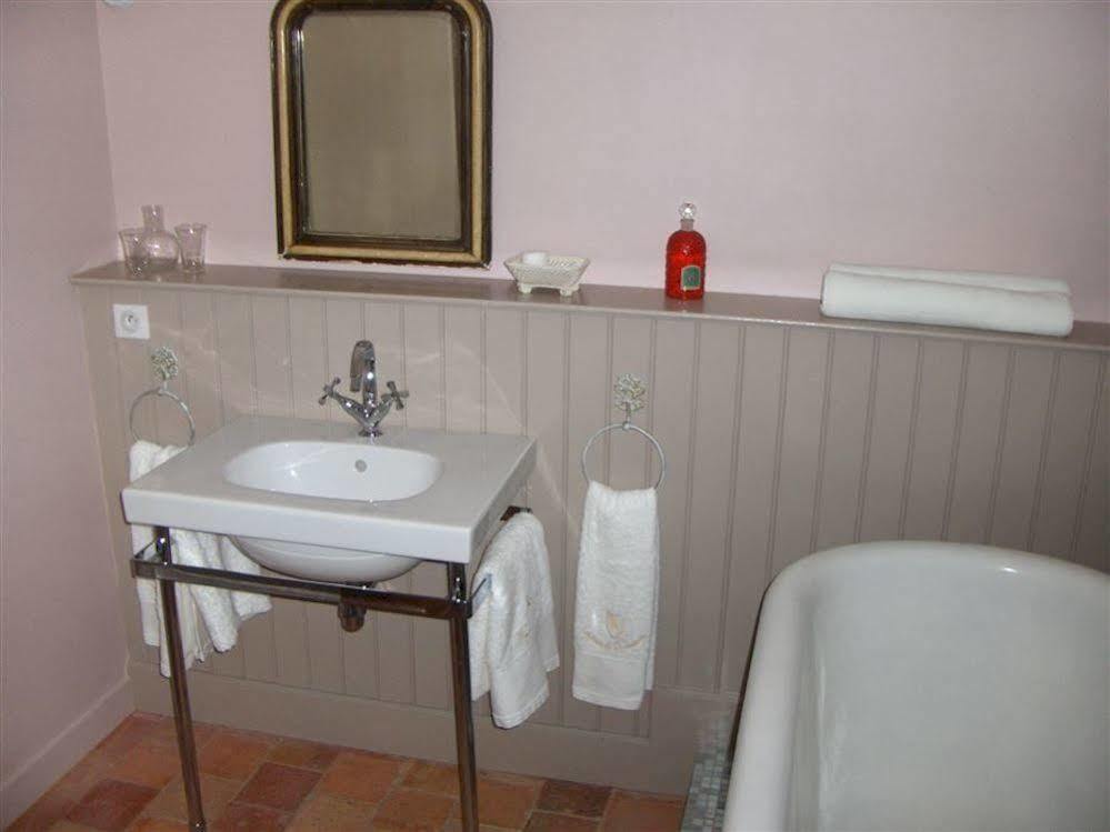 Chateau De L'Oiseliniere Bed and Breakfast Gorges  Exteriör bild